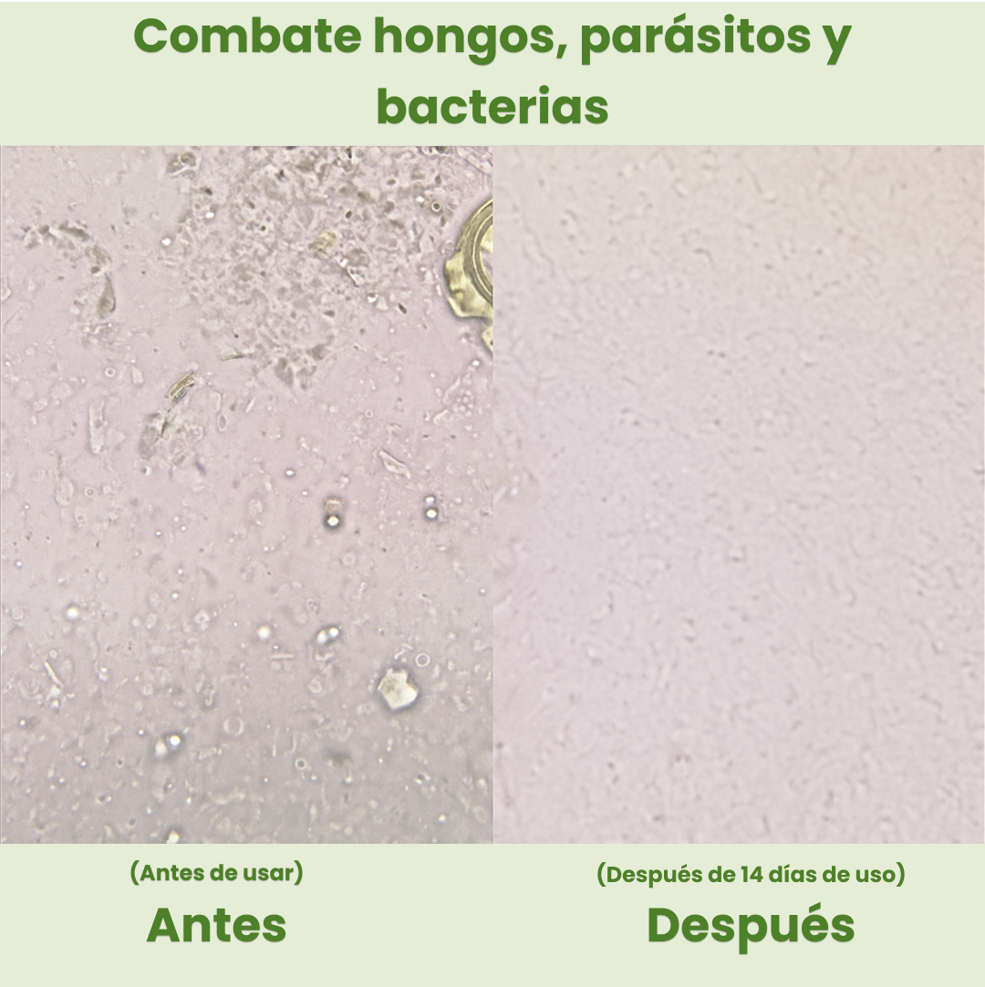 Olea | Aceite de Orégano y Comino Negro