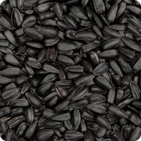 Aceite de semilla negra