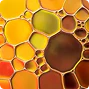 Extracto de aceite de orégano